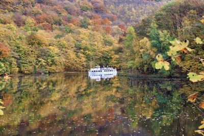 Reflection of trees in lake during autumn