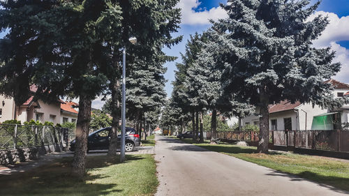 Street amidst trees and buildings against sky