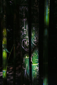 Close-up of illuminated text on tree at night