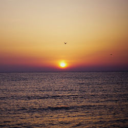 Silhouette bird flying over sea against orange sky