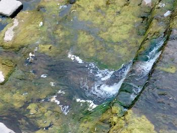 Rocks in water