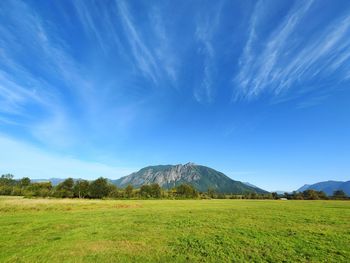 Scenic view of field against sky