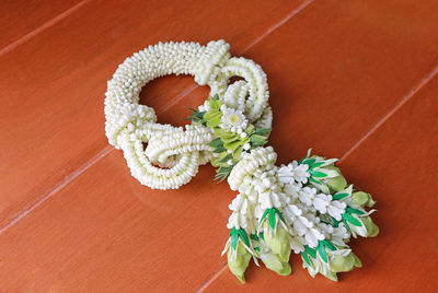 High angle view of white flowering plant on table