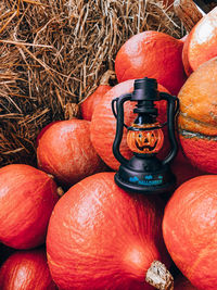 High angle view of pumpkins in container