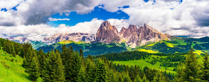 Panoramic view of pine trees and mountains against sky