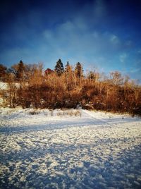 Snow covered landscape