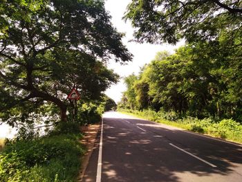 Road amidst trees against sky