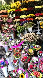 Colorful flowers for sale at market stall
