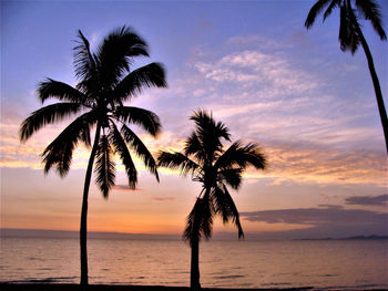 Silhouette palm trees on beach against sky during sunset