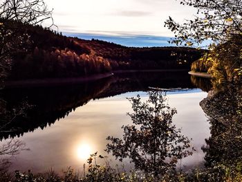 Reflection of trees in water