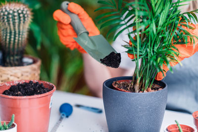 Woman gardening at home