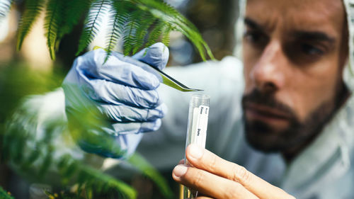 Botanist takes a plant sample for analysis in the mountains