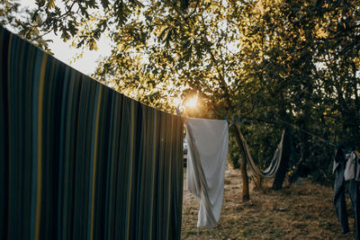 View of tent against trees