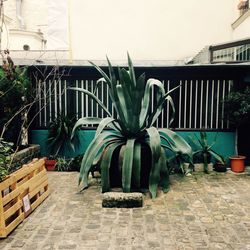 Empty chairs and tables in yard against building