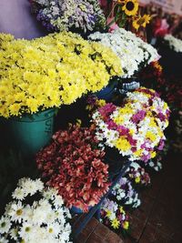 High angle view of flowering plants in pot