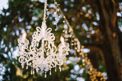 Low angle view of christmas tree