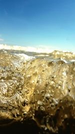Close-up of sea shore against sky