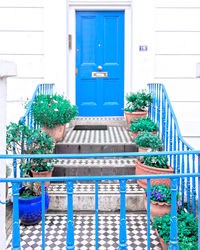 Potted plants on railing of building