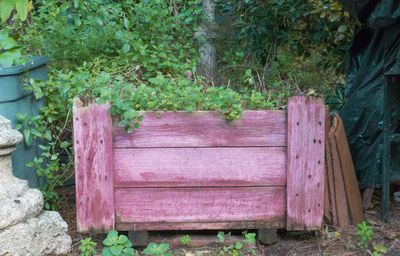 Wooden bench in yard