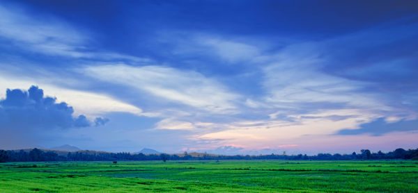 Scenic view of field against sky during sunset