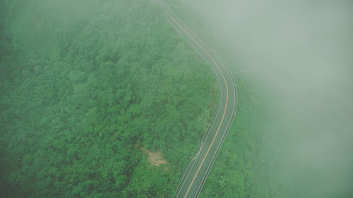 High angle view of highway amidst trees