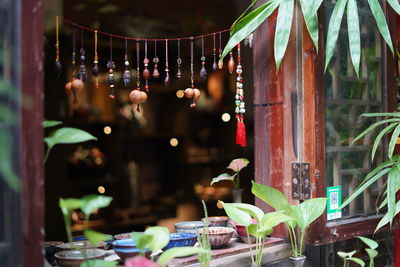 People for sale at market stall