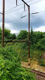 Plants growing on field against sky