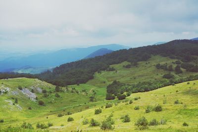 Scenic view of green landscape and mountains against sky