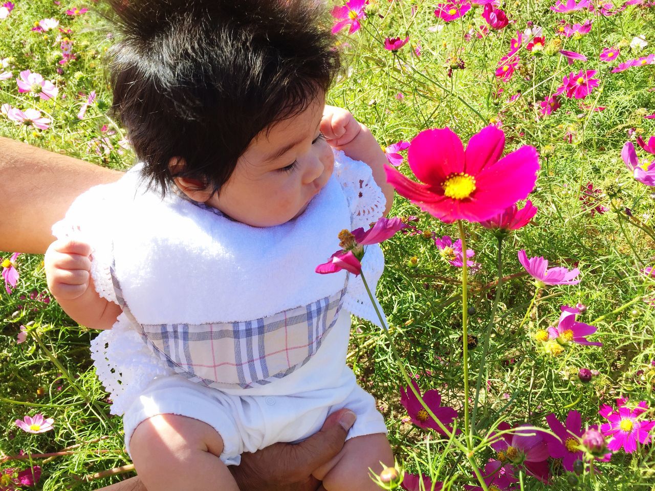 flower, lifestyles, person, leisure activity, childhood, casual clothing, elementary age, girls, innocence, high angle view, cute, plant, park - man made space, grass, freshness, fragility, pink color, growth