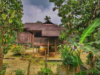 House and trees by building against sky