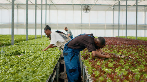 Rear view of young woman working on field