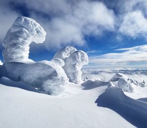 Scenic view of landscape against sky