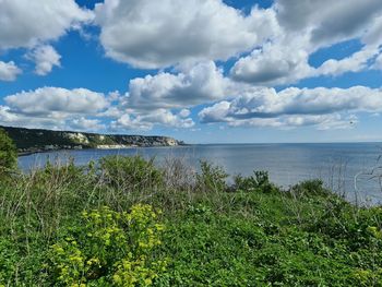 Scenic view of sea against sky