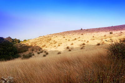 Scenic view of land against clear blue sky