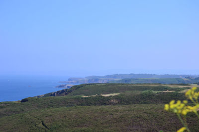 Scenic view of agricultural field against clear blue sky