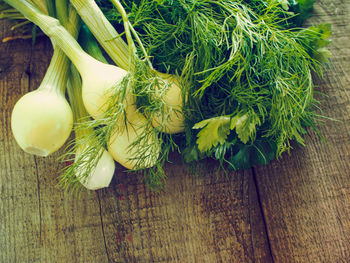 High angle view of scallions with dill and parsley on table