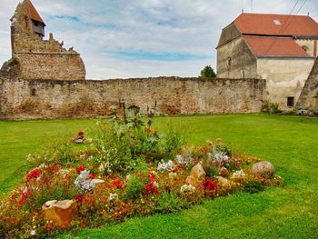 View of old ruin building