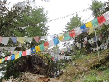 Multi colored flags hanging on tree