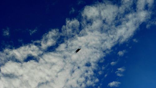 Low angle view of airplane flying in sky