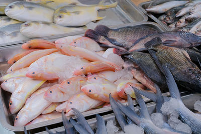 High angle view of fish for sale in market