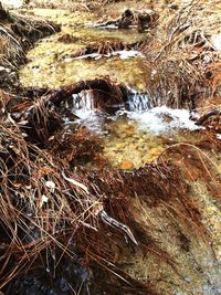 Close-up high angle view of water
