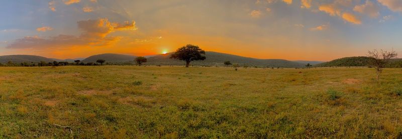 Scenic view of field against sky during sunset