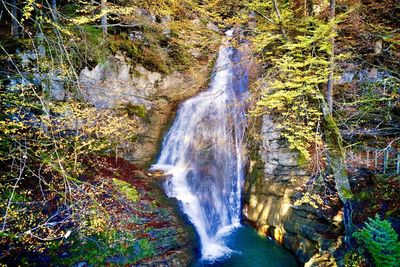 Scenic view of waterfall in forest