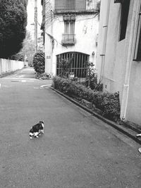Empty road in city