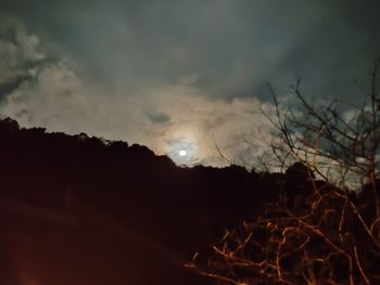 Low angle view of silhouette trees against sky at night