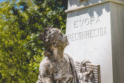 Statue against trees