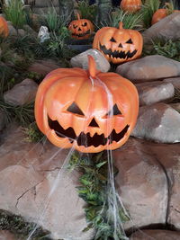 High angle view of pumpkin on pumpkins during halloween