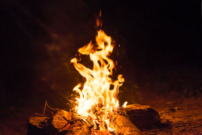 Close-up of bonfire at night