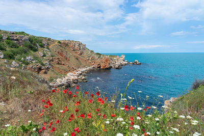 An image of beautiful seascape from north coastline of black sea, bulgaria. 