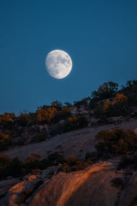 Low angle view of moon against clear sky at night